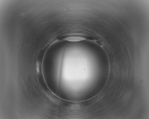 X0000081420075200701191607