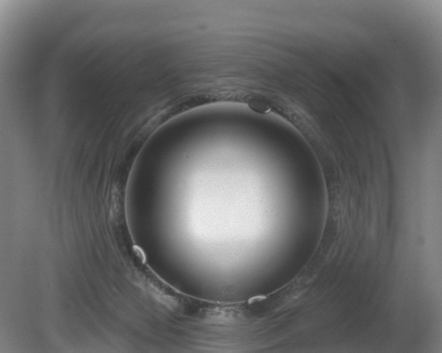 X0000081420077200701191607