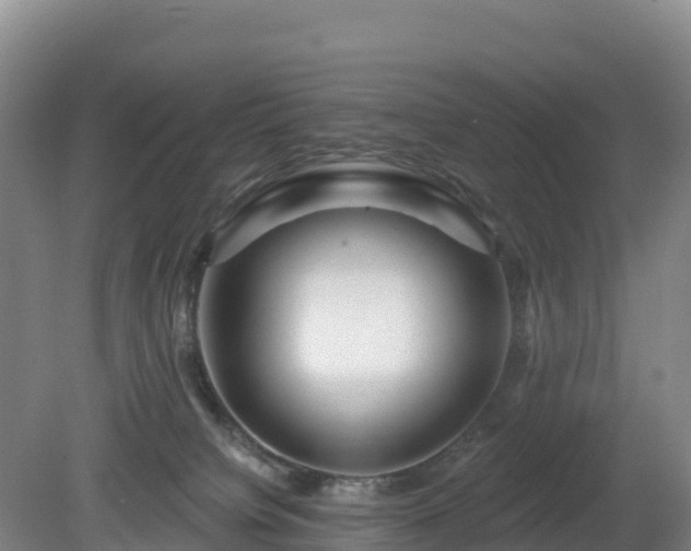 X0000081420084200701191607