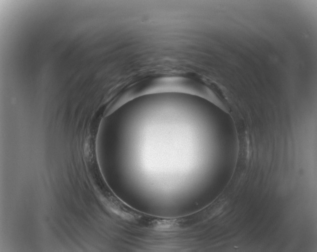 X0000081420088200701191607