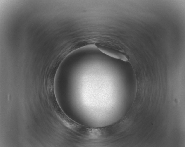 X0000081420091200701191607
