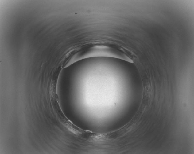 X0000081420092200701191607