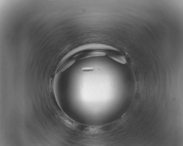 X0000081420093200701191607