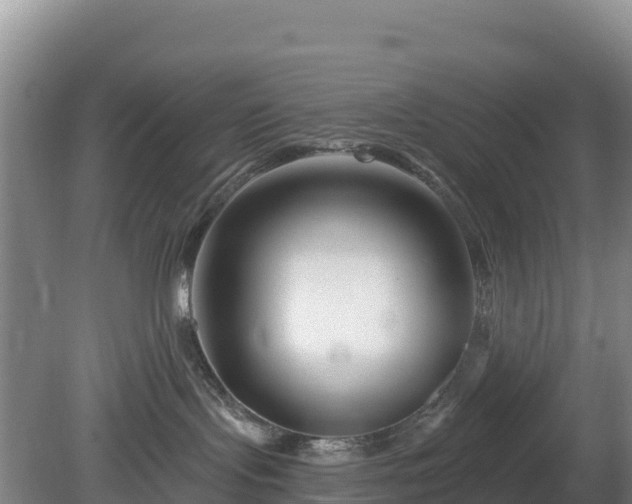 X0000081420095200701191607