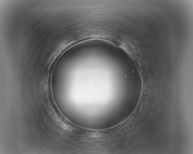 X0000081420098200701191606
