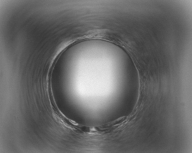 X0000081420100200701191606