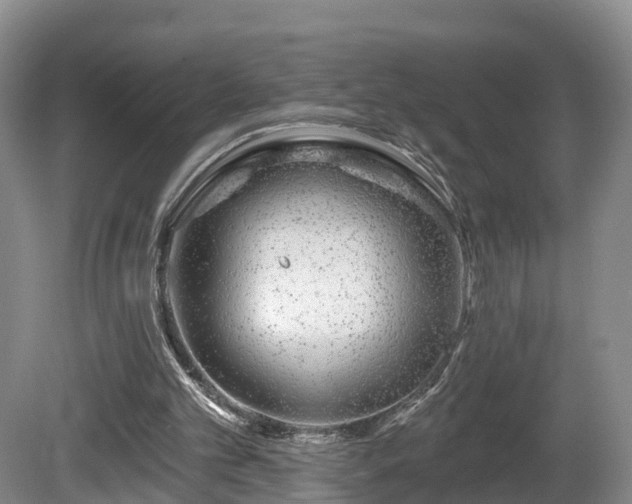 X0000081420101200701191606