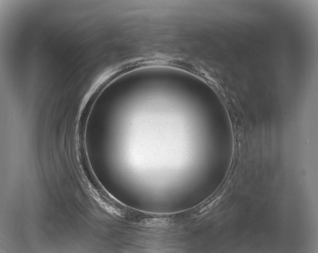 X0000081420102200701191606