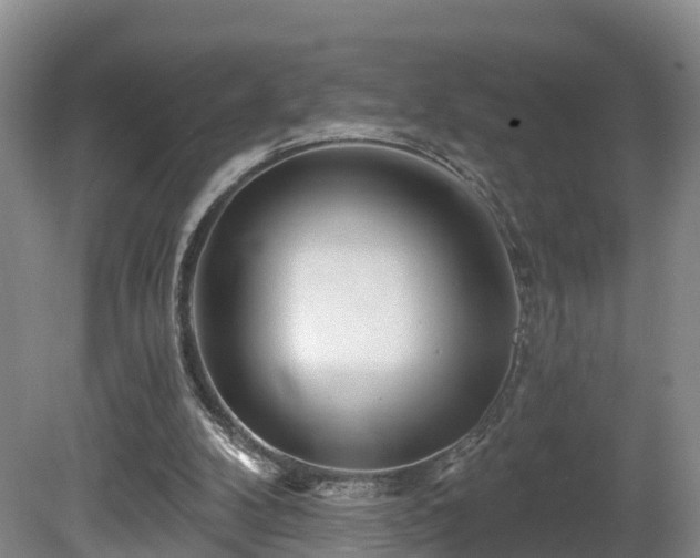 X0000081420104200701191606