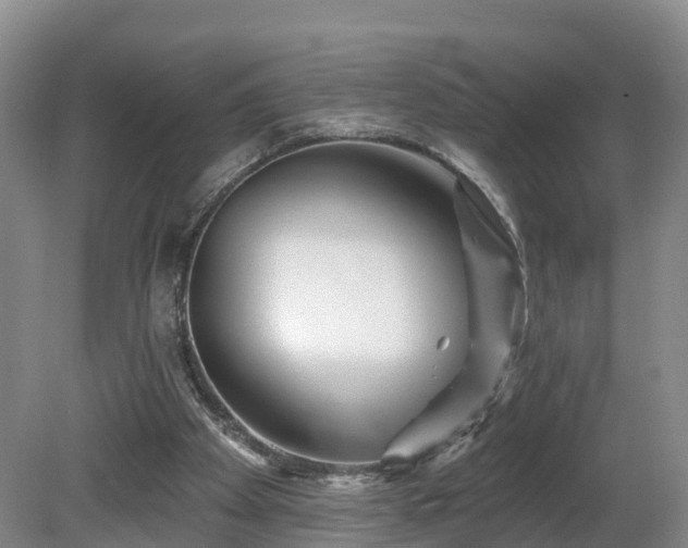 X0000081420105200701191606