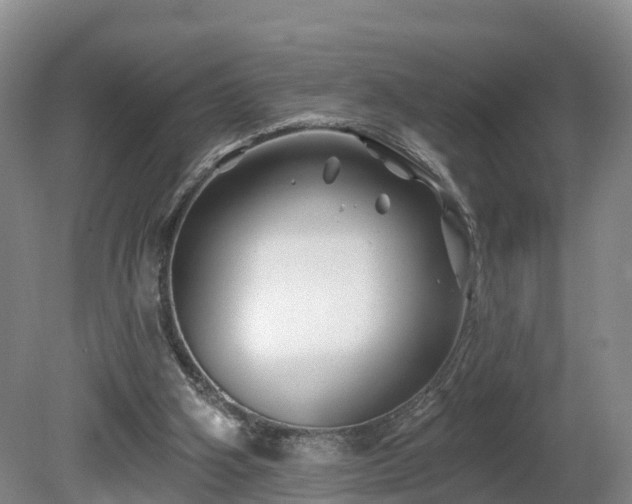 X0000081420106200701191606