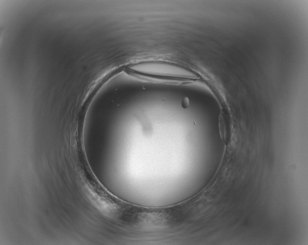X0000081420107200701191606