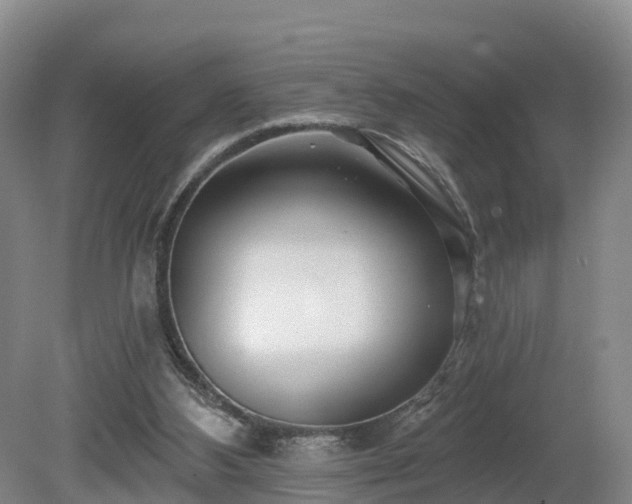 X0000081420108200701191606