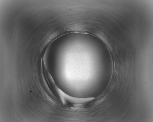 X0000081420109200701191606