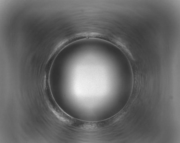 X0000081420110200701191606