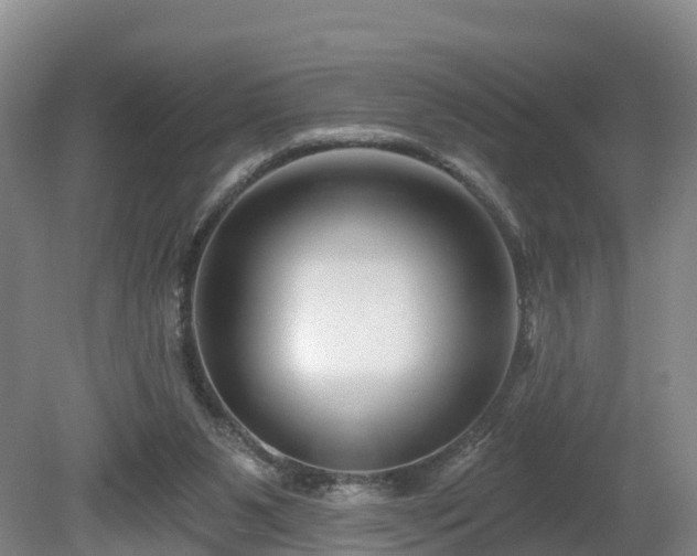 X0000081420111200701191606