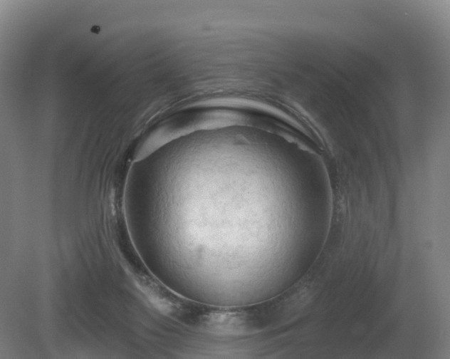 X0000081420117200701191606