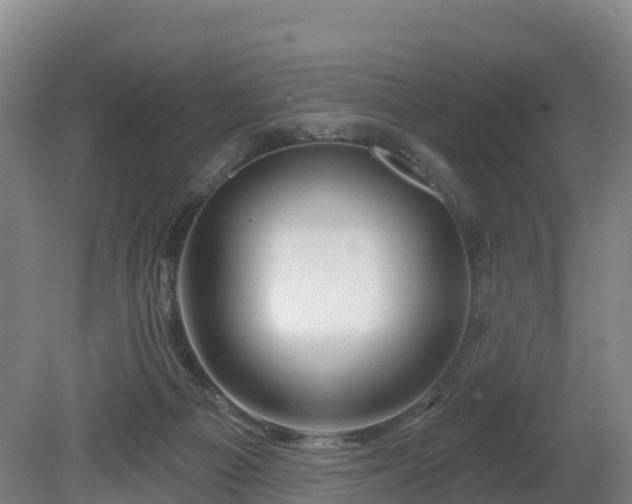 X0000081420121200701191606