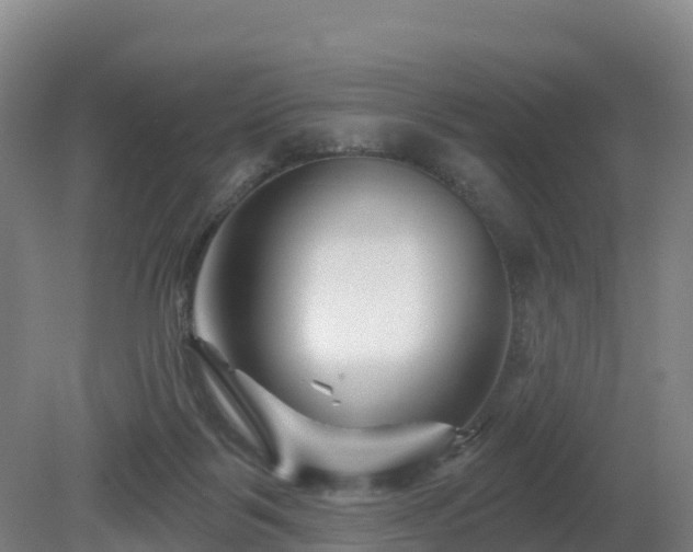 X0000081420123200701191606