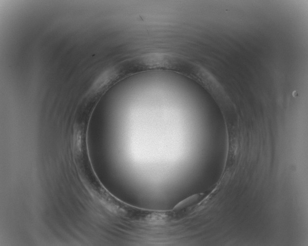 X0000081420124200701191606
