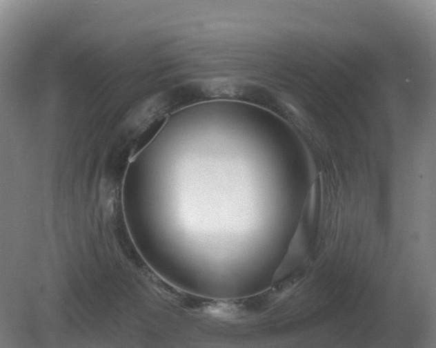 X0000081420125200701191606