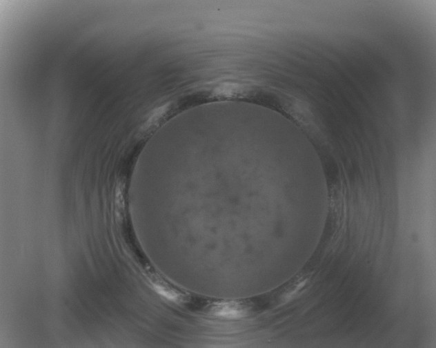X0000081420127200701191606