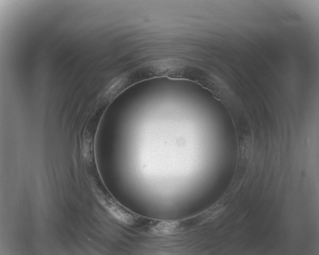 X0000081420138200701191606