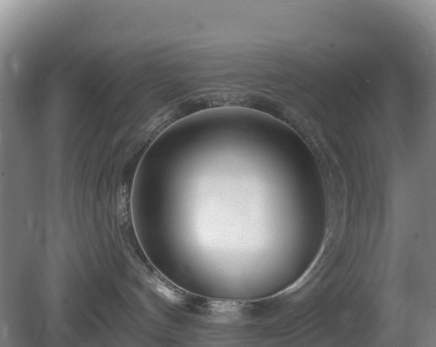 X0000081420144200701191605