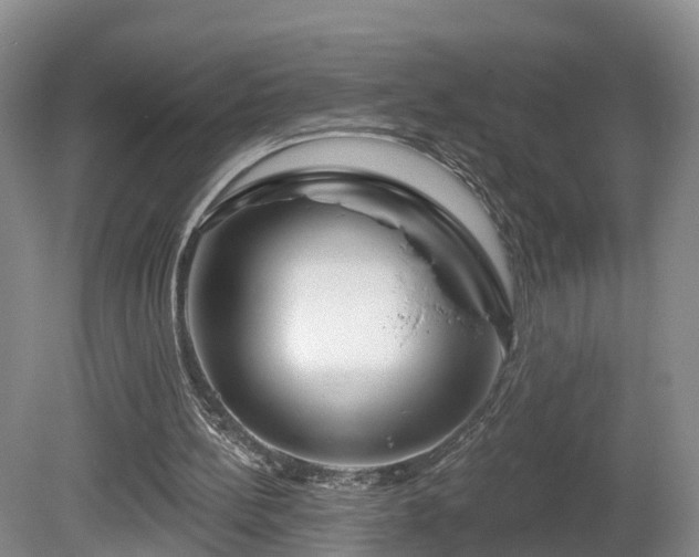 X0000081420148200701191605