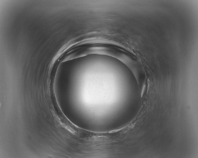 X0000081420150200701191605