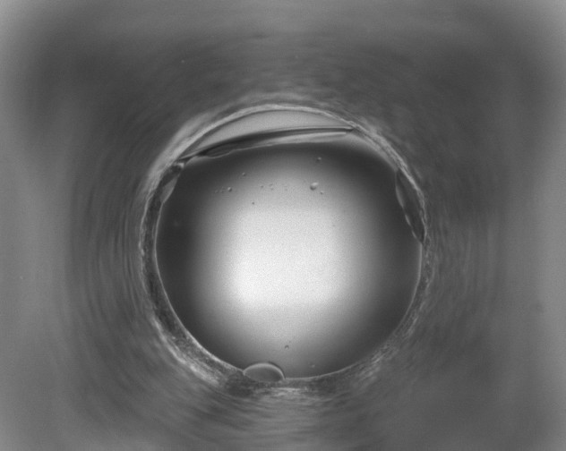 X0000081420151200701191605