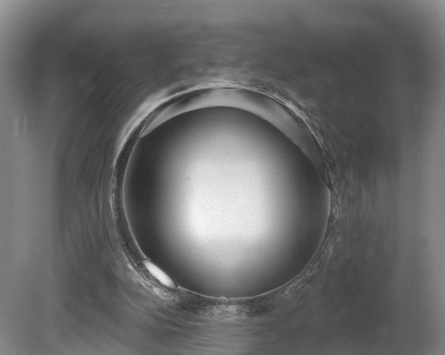 X0000081420152200701191605