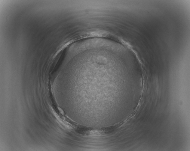 X0000081420154200701191605