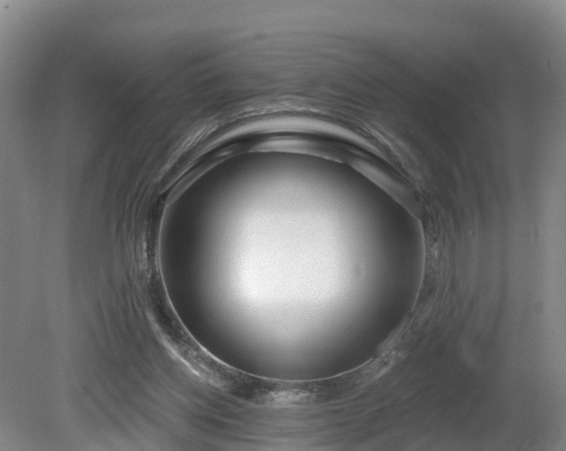 X0000081420158200701191605