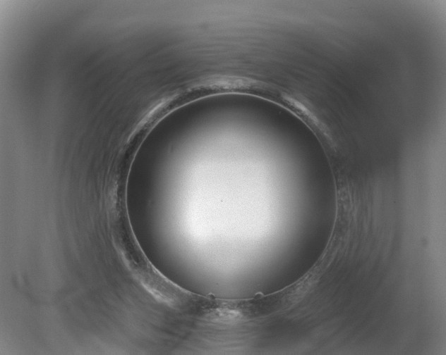 X0000081420159200701191605