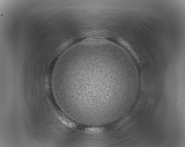 X0000081420161200701191605