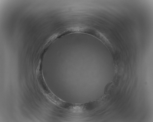 X0000081420163200701191605