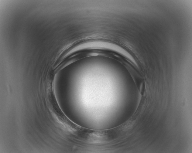 X0000081420164200701191605