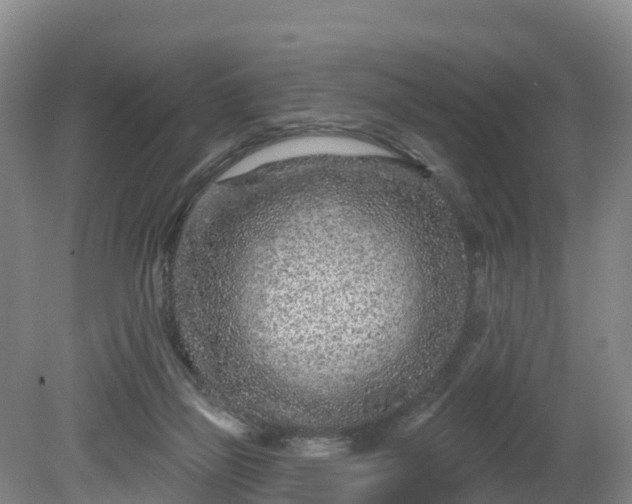 X0000081420165200701191605