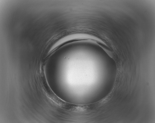 X0000081420166200701191605