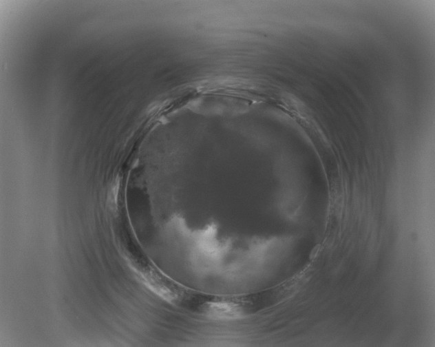 X0000081420167200701191605