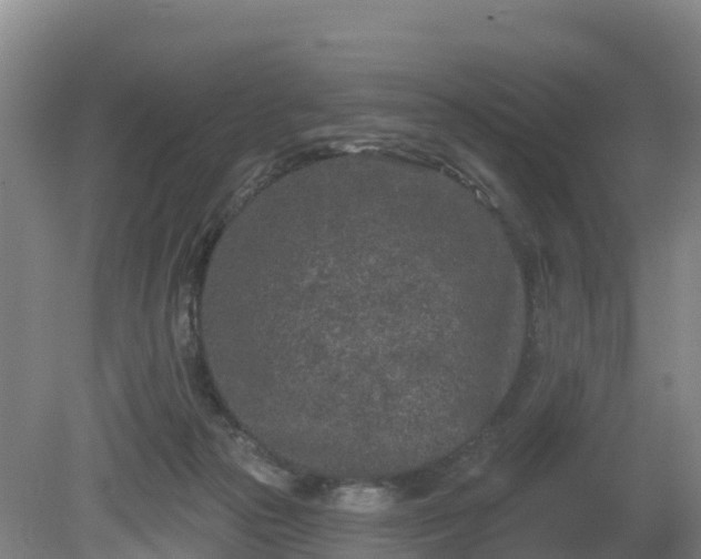 X0000081420169200701191605