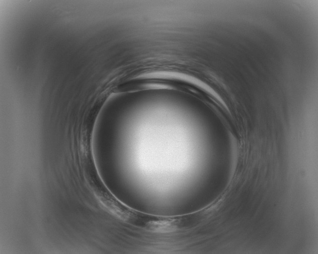 X0000081420170200701191605