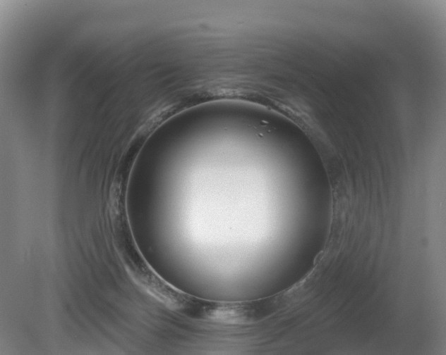 X0000081420171200701191605