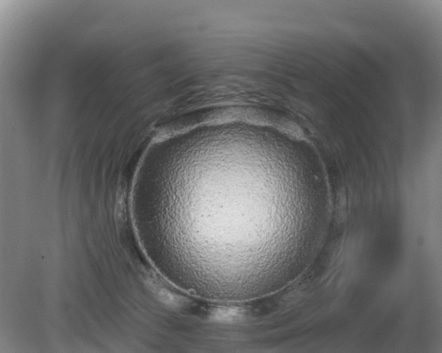 X0000081420177200701191605