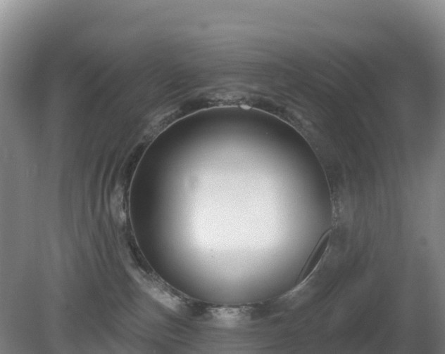 X0000081420187200701191605