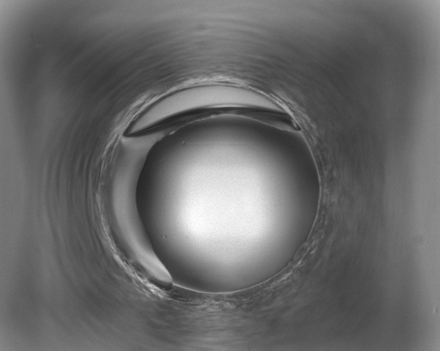 X0000081420193200701191605