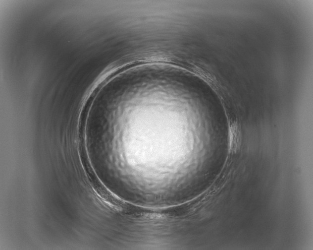 X0000081420195200701191605