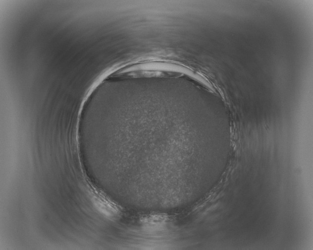 X0000081420196200701191605