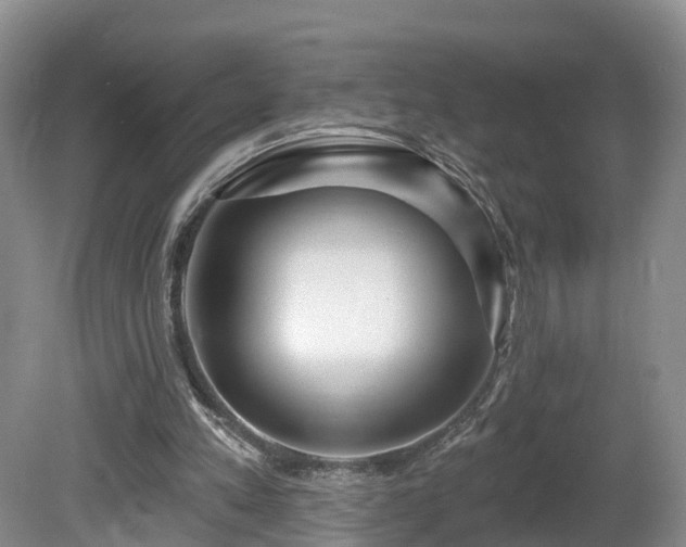X0000081420197200701191605